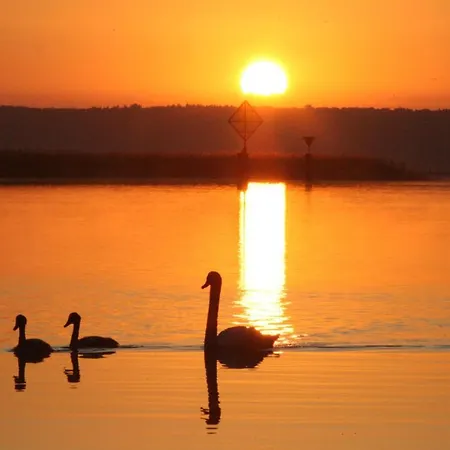 Apartment Seeschwalbe Plau *