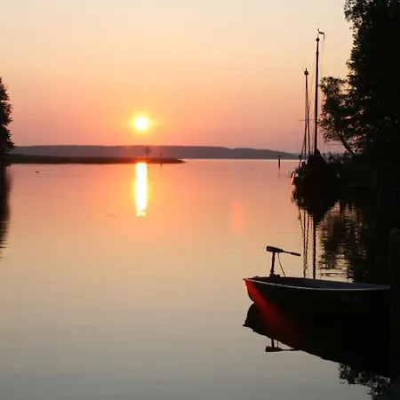 Seeschwalbe Plau *