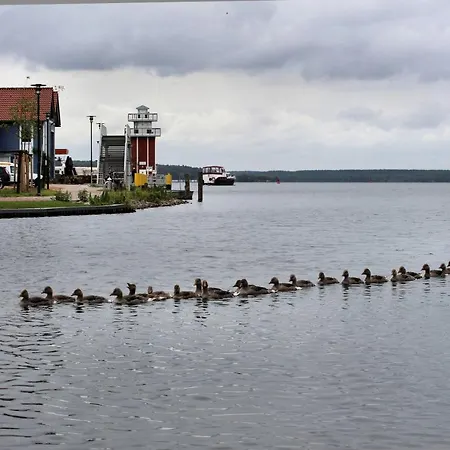 Apartment Seeschwalbe Plau Plau am See