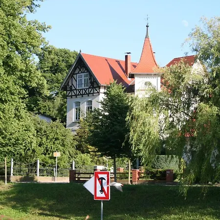 Seeschwalbe Plau *