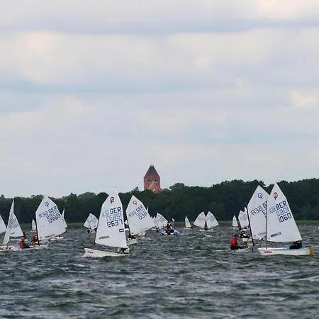 Seeschwalbe Plau * Plau am See