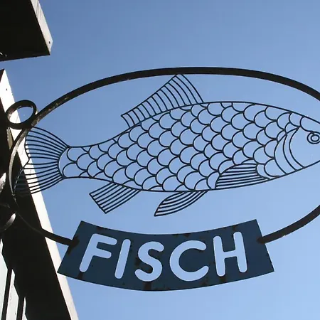 Seeschwalbe Plau