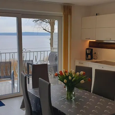 Seeschwalbe Plau * 플라우암시