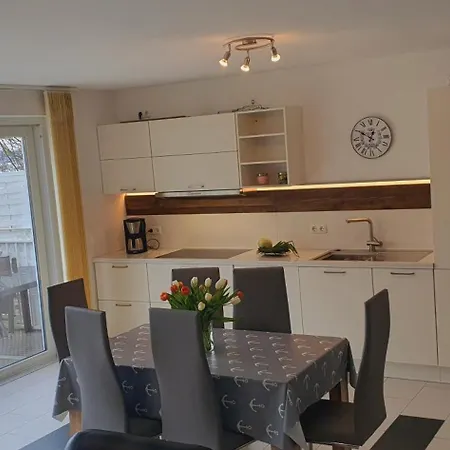 Seeschwalbe Plau * Plau am See