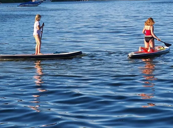 Seeschwalbe Plau * Plau am See