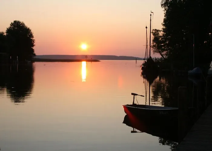 Seeschwalbe Plau *