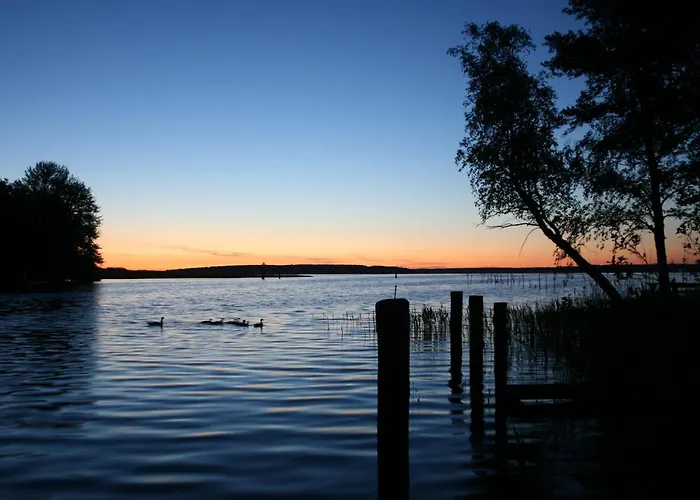 Seeschwalbe Plau Plau am See