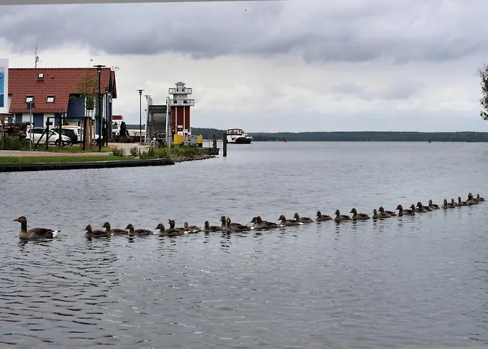 Apartament Seeschwalbe Plau Plau am See