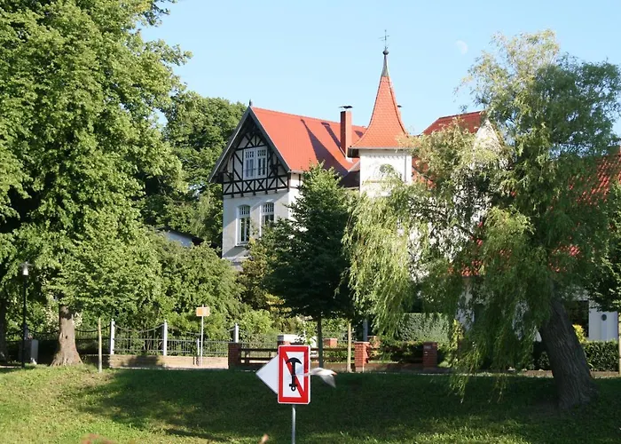 Seeschwalbe Plau *