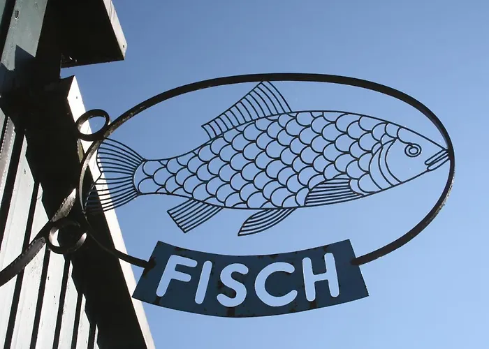 Seeschwalbe Plau