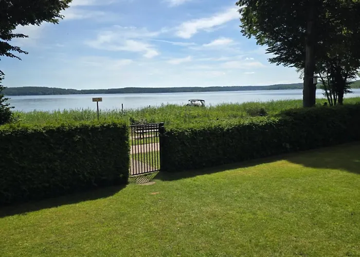 Seeschwalbe Plau