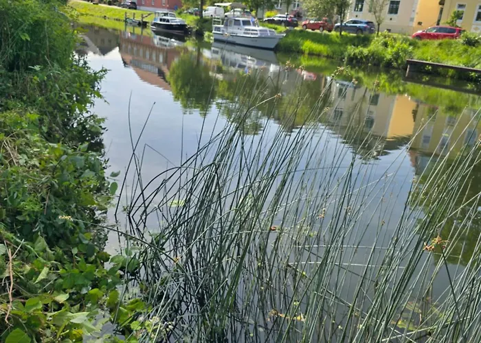 Seeschwalbe Plau Apartament